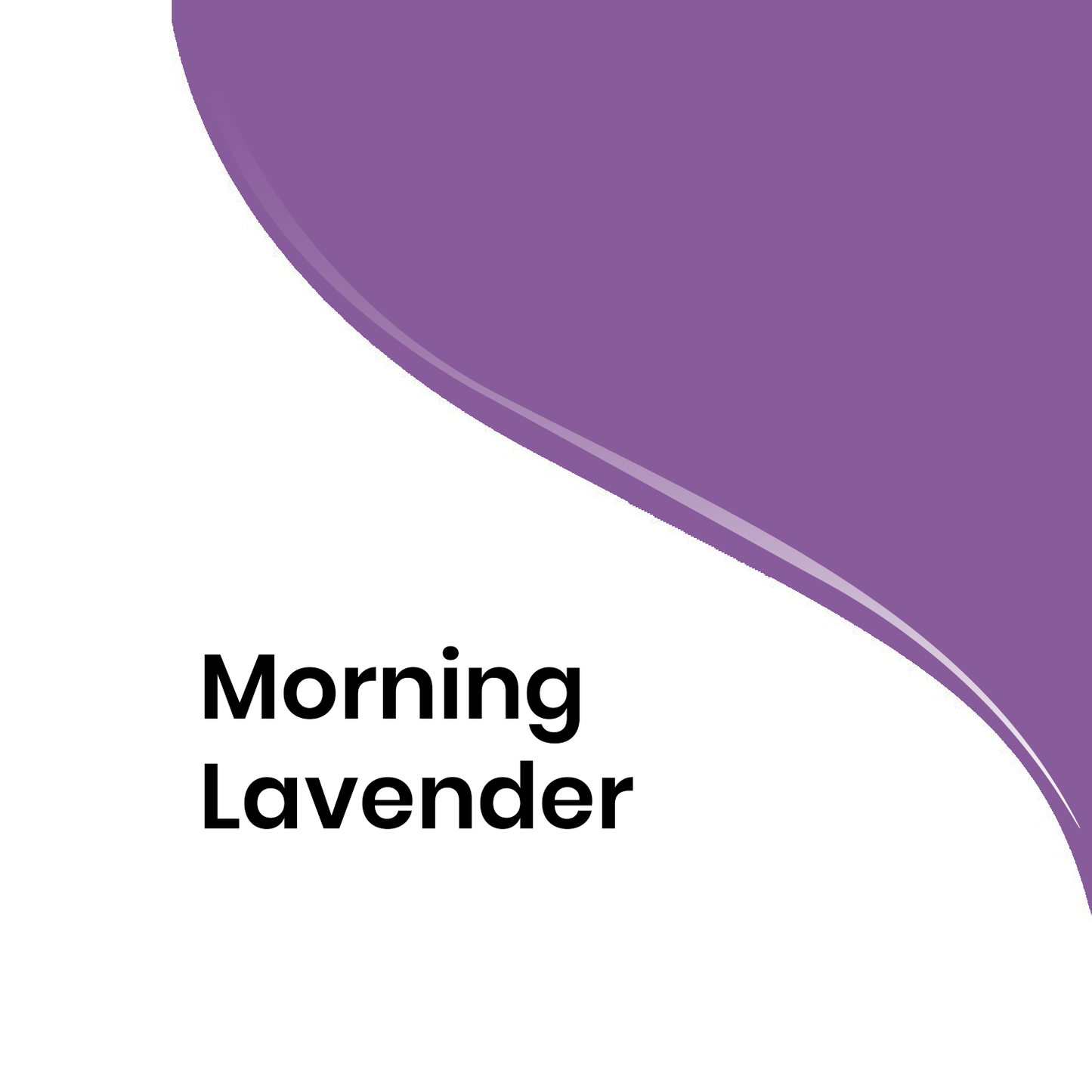 Morning Lavender
